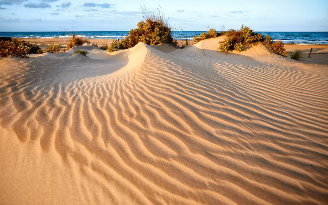 Les dunes de l’Auir